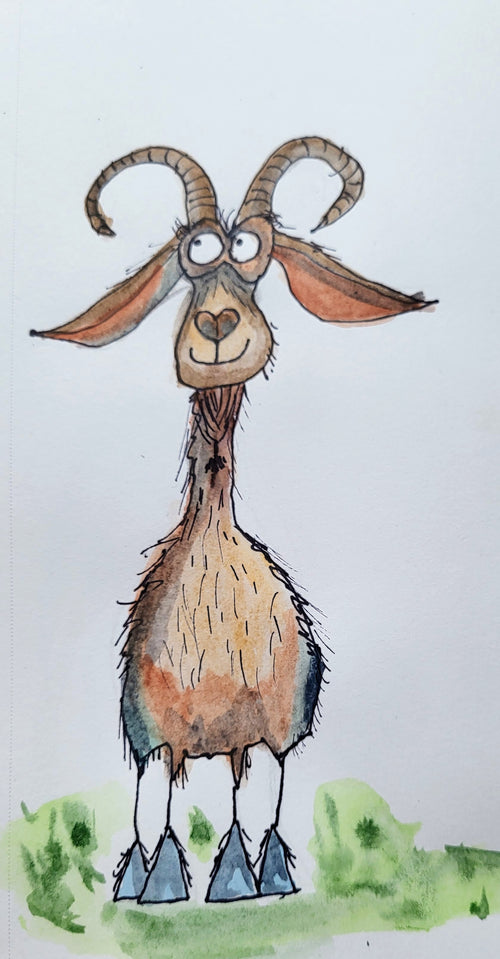 Animals - Goat - 01