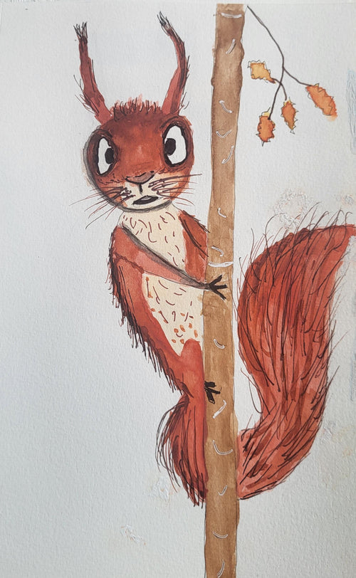 Animals - Squirrel - 06