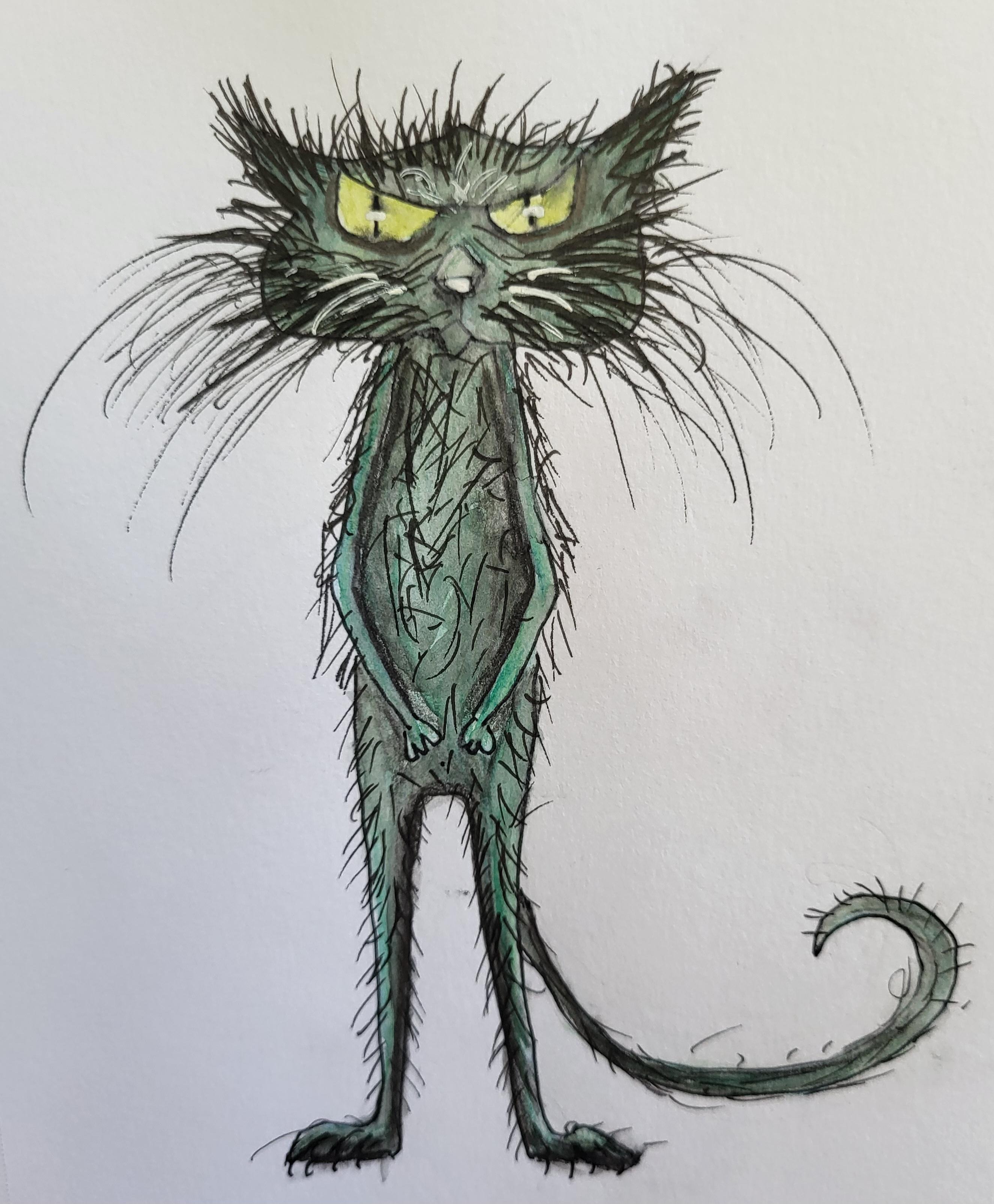 Cat - 01