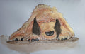 Dog - 02