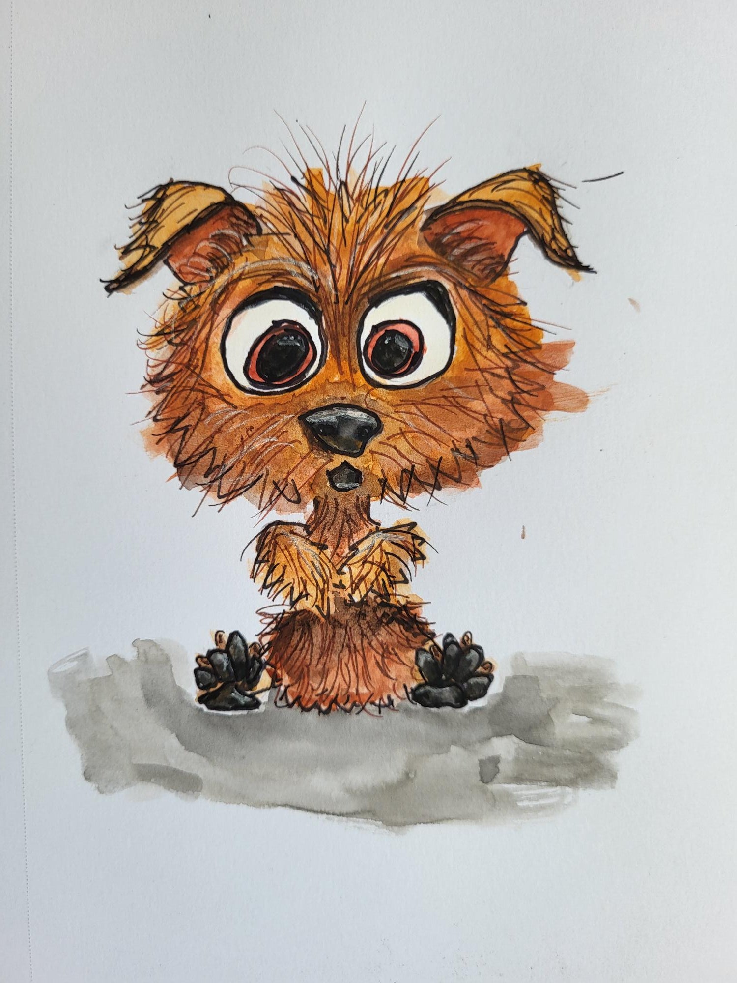 Dog - 05