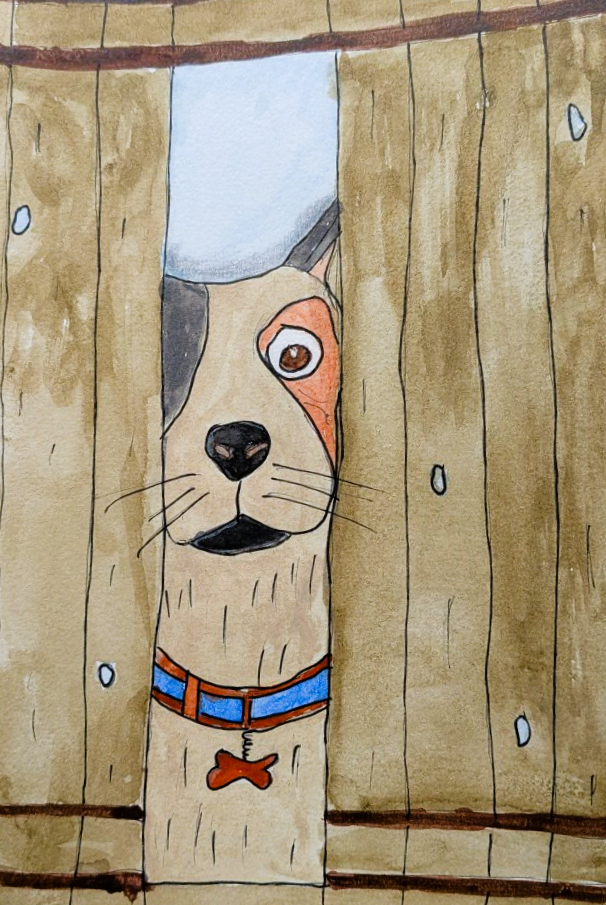 Dog - 13