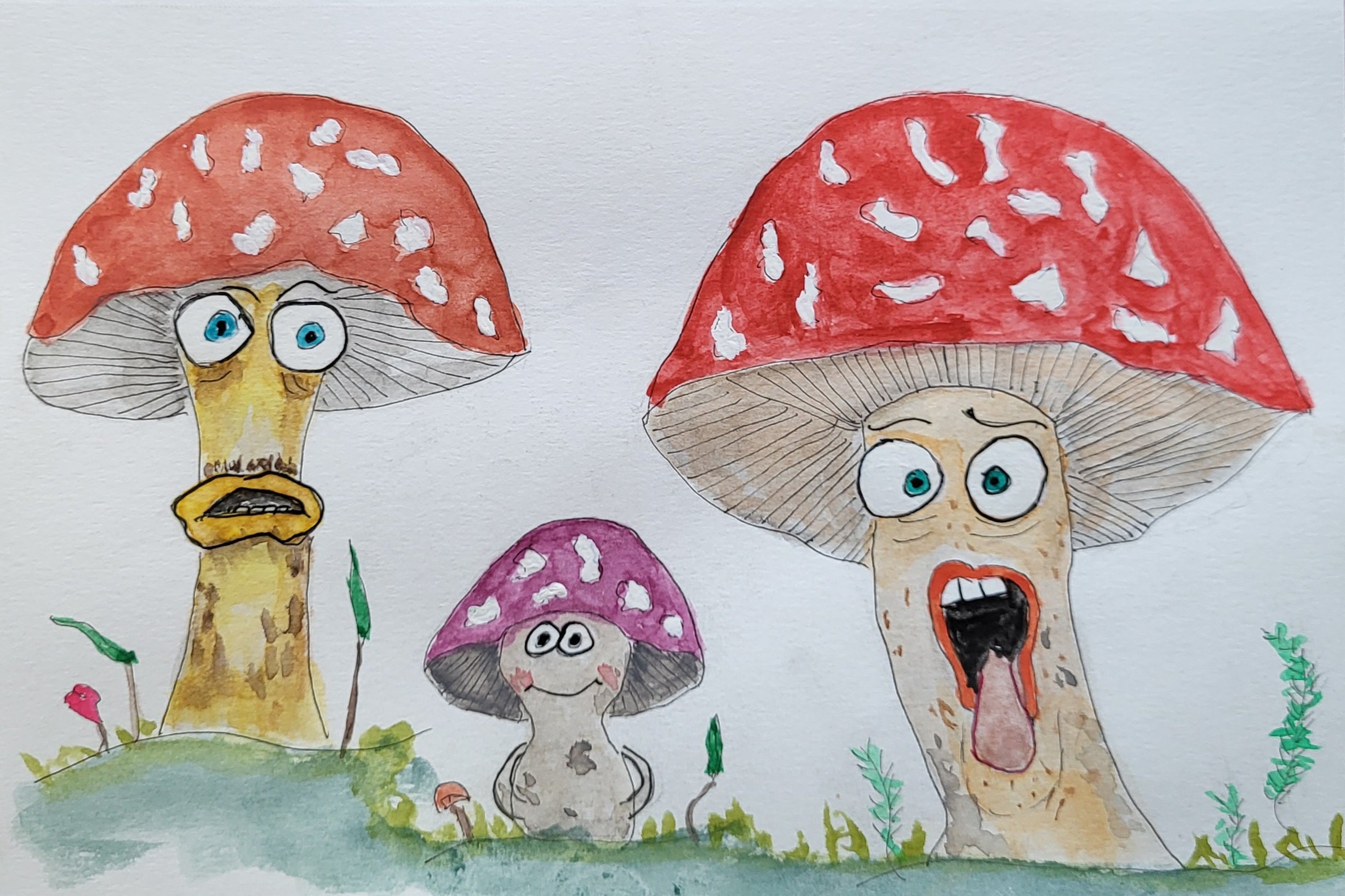 Mushroom - 02