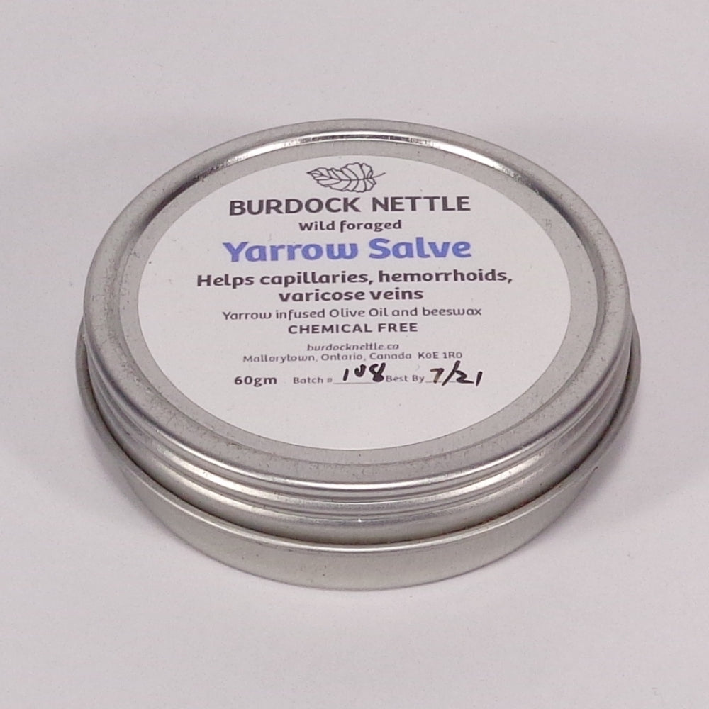 Yarrow Salve