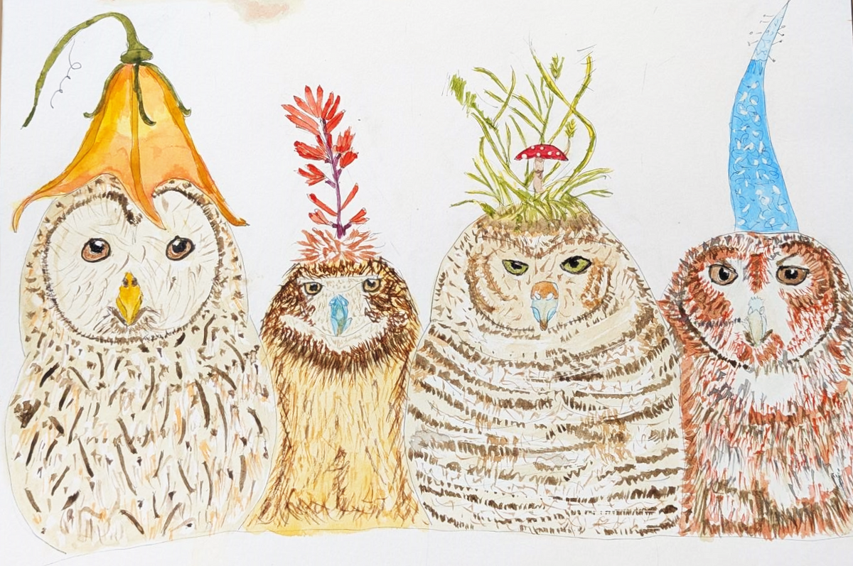 Four Owls in Hats